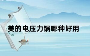 美的电压力锅哪种好用_美的电压力锅好吗