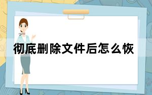 彻底删除文件后怎么恢复_彻底删除文件