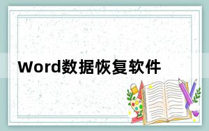 Word数据恢复软件 V4.7.0.2 官方版_Word数据恢复软件 V4.7.0.2 官方版免费下载