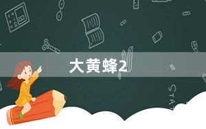 大黄蜂2_大黄蜂ii