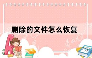 删除的文件怎么恢复_删除的文件怎么恢复