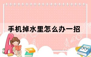 手机掉水里怎么办一招帮你解决_手机掉水里怎么办