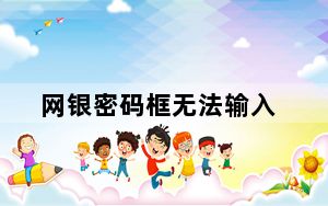 网银密码框无法输入_网银密码