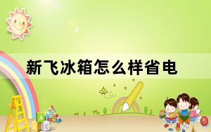 新飞冰箱怎么样省电_新飞冰箱怎么样
