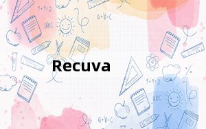 Recuva_文件恢复工具 V1.52.1086 官方免费版_Recuva_文件恢复工具 V1.52.1086 官方免费
