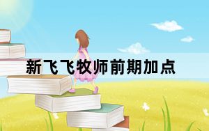 新飞飞牧师前期加点_《新飞飞》牧师职业路线心得