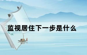 监视居住下一步是什么_监视器维修