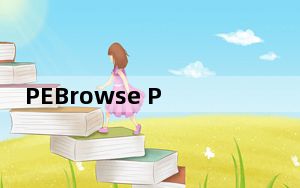 PEBrowse Professional_静态反汇编软件 V10.1.4 免费版_PEBrowse Professio