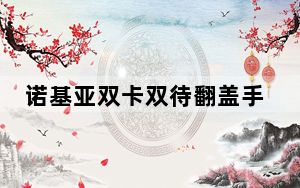 诺基亚双卡双待翻盖手机_诺基亚双网双待