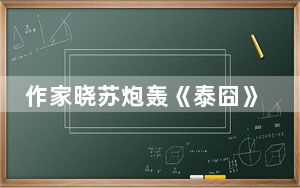 作家晓苏炮轰《泰囧》 岂料姓名域名已被企业建站