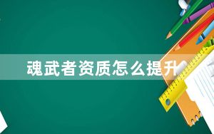 魂武者资质怎么提升_《武魂》武魂转职攻略