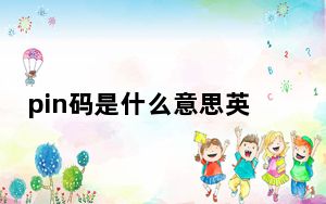 pin码是什么意思英语_pin码是什么