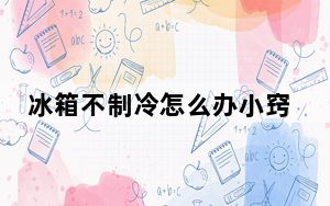 冰箱不制冷怎么办小窍门_冰箱不制冷怎么办