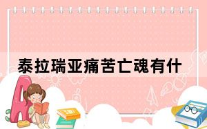 泰拉瑞亚痛苦亡魂有什么用_泰拉瑞亚痛苦亡魂作用 快吧手游