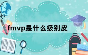 fmvp是什么级别皮肤_fmvp是什么意思啊