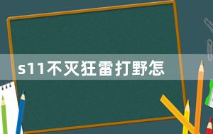 s11不灭狂雷打野怎么出装_s11不灭狂雷打野出装