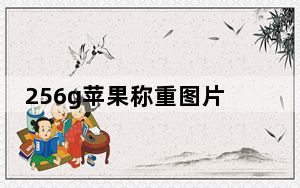 256g苹果称重图片_256g苹果