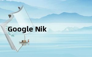 Google Nik Collection_PS滤镜插件 V1.2.11.1307 官方免费版_Google Nik C
