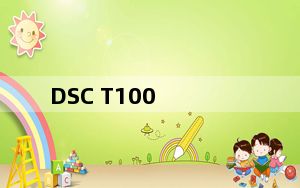 DSC T100_dsc t200