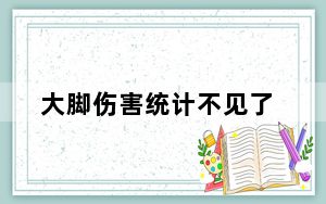 大脚伤害统计不见了_大脚伤害统计不见了