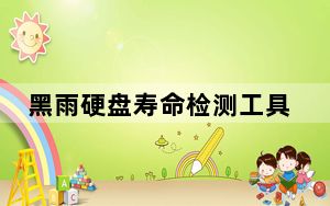 黑雨硬盘寿命检测工具 V2.0 绿色版_黑雨硬盘寿命检测工具 V2.0 绿色版免费下载