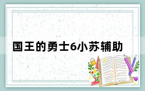 国王的勇士6小苏辅助 V1.1 官方最新版_国王的勇士6小苏辅助 V1.1 官方最新版免费下载