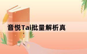 音悦Tai批量解析真实下载地址 V1.1 绿色免费版_音悦Tai批量解析真实下载地址 V1.1 绿色免费版免费下载