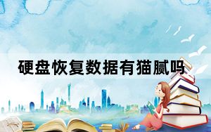 硬盘恢复数据有猫腻吗_硬盘恢复修复