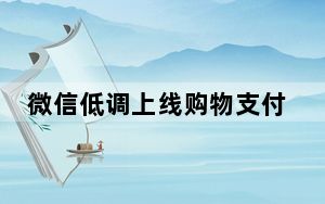 微信低调上线购物支付功能 试水应用内购