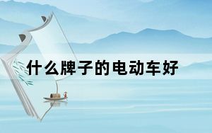 什么牌子的电动车好_什么牌子的电动车好