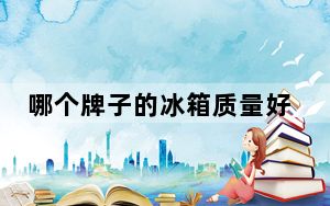 哪个牌子的冰箱质量好而且省电_冰箱什么牌子好又省电质量又好_什么牌子冰箱质量好又省电排名