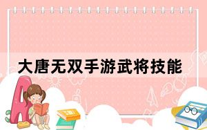 大唐无双手游武将技能_《大唐无双2》武将技能搭配心得分享