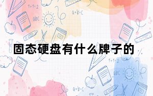 固态硬盘有什么牌子的好_固态硬盘有什么好处