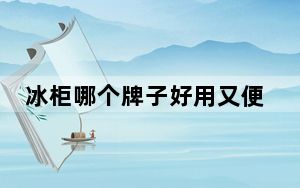 冰柜哪个牌子好用又便宜_冰柜哪个牌子好