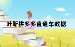 叶斯拼多多直通车数据分析软件 V2.0 官方版_叶斯拼多多直通车数据分析软件 V2.0 官方版免费下载