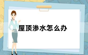 屋顶渗水怎么办_wds