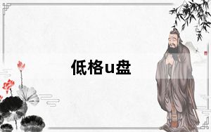 低格u盘_低格