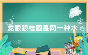 龙眼跟桂圆是同一种水果_桂圆和龙眼是同一种水果吗