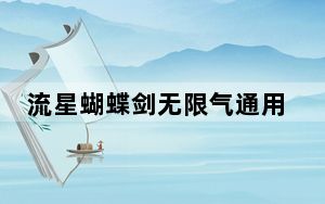 流星蝴蝶剑无限气通用版 V1.0 绿色免费版_流星蝴蝶剑无限气通用版 V1.0 绿色免费版免费下载