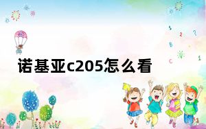 诺基亚c205怎么看小说_诺基亚c205