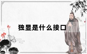 独显是什么接口_独显是什么意思
