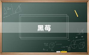黑莓_z10及大家觉得黑莓Z10怎么样啊值得入手么