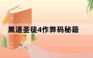 黑道圣徒4作弊码秘籍使用方法_黑道圣徒4作弊码一览