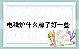 电磁炉什么牌子好一些_电磁炉什么牌子好