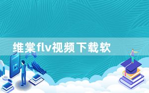 维棠flv视频下载软件绿色精简版 V3.0.1.0 免安装版_维棠flv视频下载软件绿色精简版 V3.0.1.0 免安装