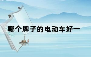 哪个牌子的电动车好一点_哪个牌子的电动车好
