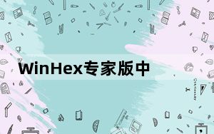 WinHex专家版中文破解版 V20.3 免注册码版_WinHex专家版中文破解版 V20.3 免注册码版免费下载