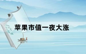 苹果市值一夜大涨_苹果市值一夜大涨719亿美元