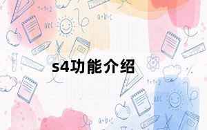 s4功能介绍_s4开发者选项在哪里