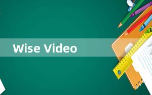 Wise Video Player_视频播放器 V1.2.9.35 单文件版_Wise Video Player_视频播